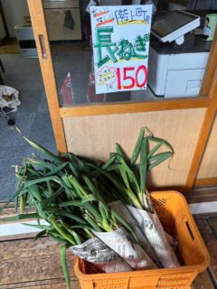 本日何故かネギ売ってます。量がおかしいです。